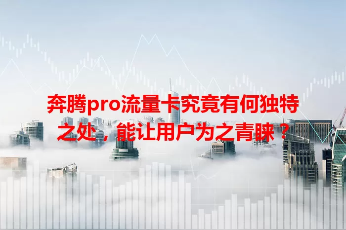 奔腾pro流量卡究竟有何独特之处，能让用户为之青睐？