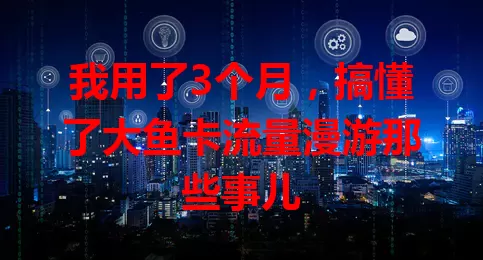 我用了3个月，搞懂了大鱼卡流量漫游那些事儿