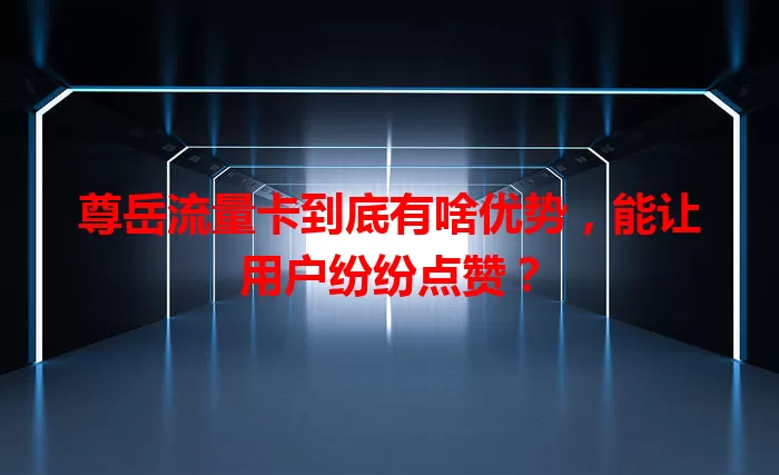 尊岳流量卡到底有啥优势，能让用户纷纷点赞？