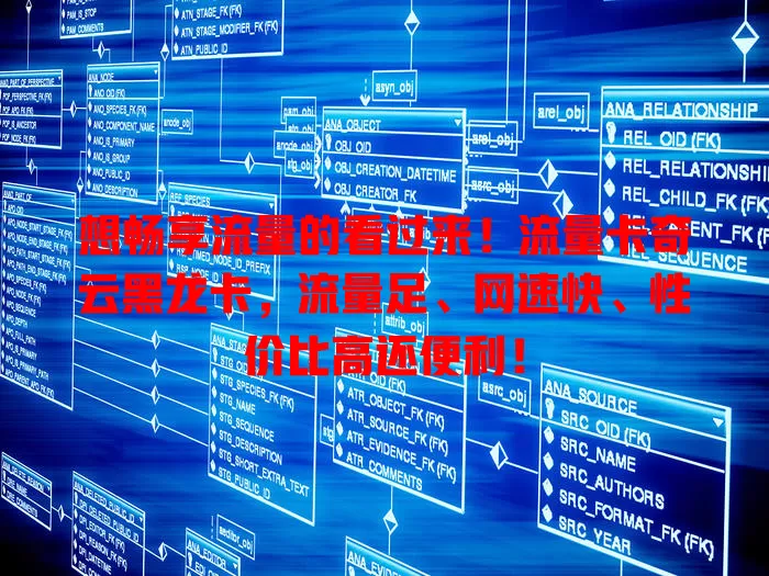 想畅享流量的看过来！流量卡奇云黑龙卡，流量足、网速快、性价比高还便利！