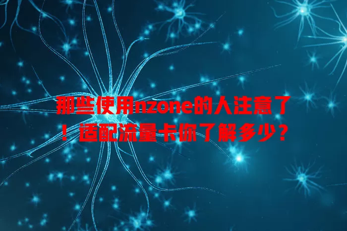 那些使用nzone的人注意了！适配流量卡你了解多少？