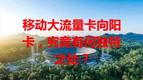移动大流量卡向阳卡，究竟有何独特之处？