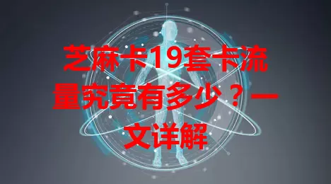 芝麻卡19套卡流量究竟有多少？一文详解