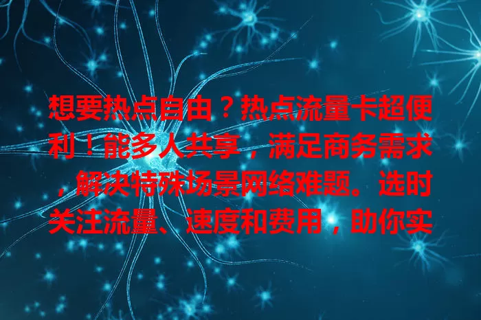 想要热点自由？热点流量卡超便利！能多人共享，满足商务需求，解决特殊场景网络难题。选时关注流量、速度和费用，助你实现网络自由，开启便利新时代