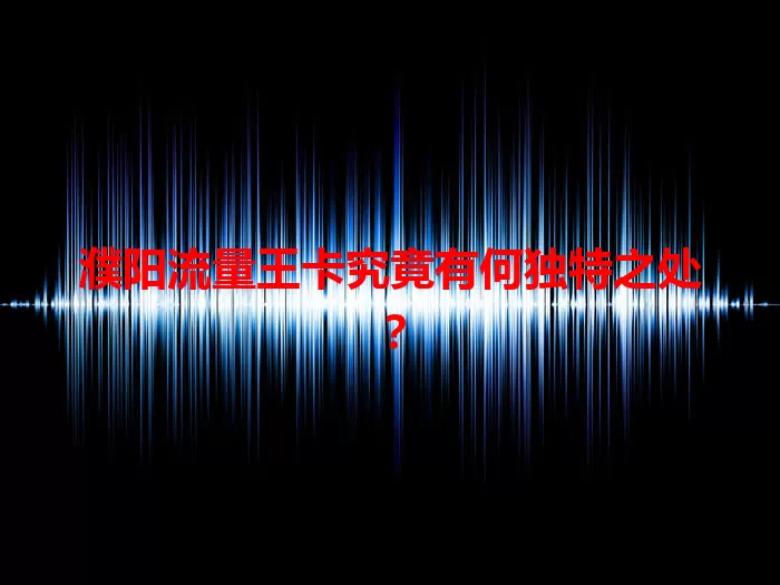 濮阳流量王卡究竟有何独特之处？