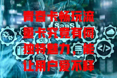 青春卡畅玩流量卡究竟有何独特魅力，能让用户爱不释手？