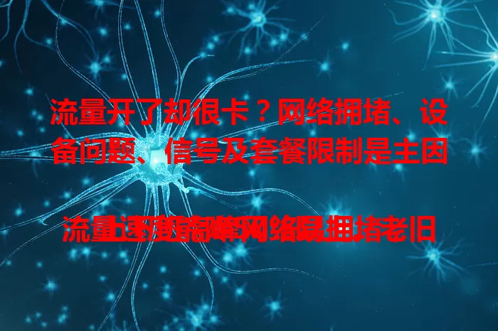 流量开了却很卡？网络拥堵、设备问题、信号及套餐限制是主因！

上下班高峰网络易拥堵，流量速度能降50%以上。老旧手机、弱信号区域、低流量上限套餐也会致卡顿。快来看解决办法，告别流量卡顿烦恼！
