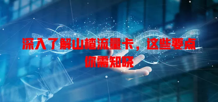 深入了解山楂流量卡，这些要点你需知晓