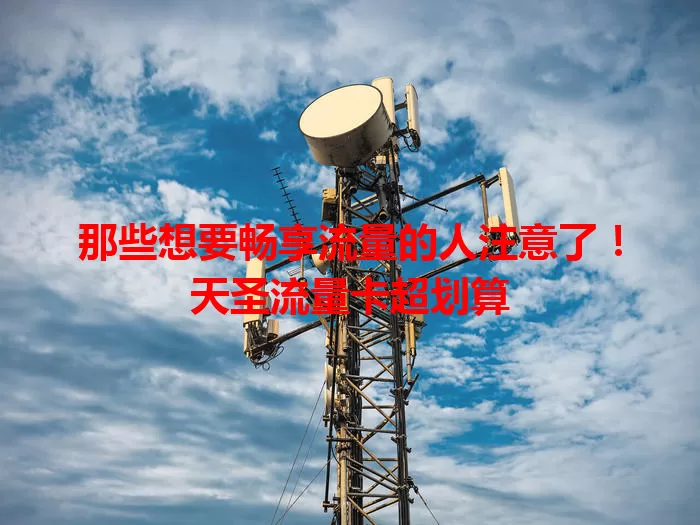 那些想要畅享流量的人注意了！天圣流量卡超划算