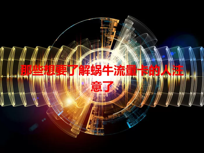 那些想要了解蜗牛流量卡的人注意了