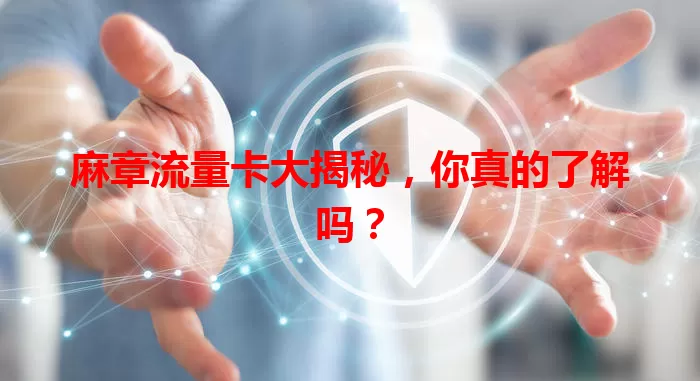 麻章流量卡大揭秘，你真的了解吗？