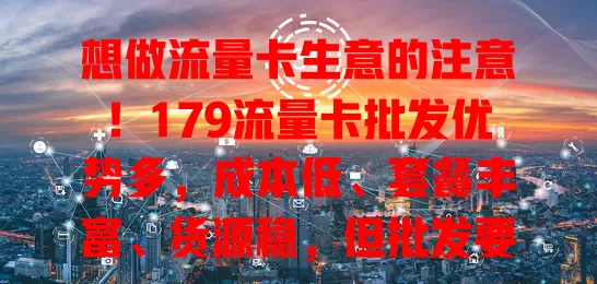 想做流量卡生意的注意！179流量卡批发优势多，成本低、套餐丰富、货源稳，但批发要谨慎，了解政策把握需求，做好准备规划才能盈利