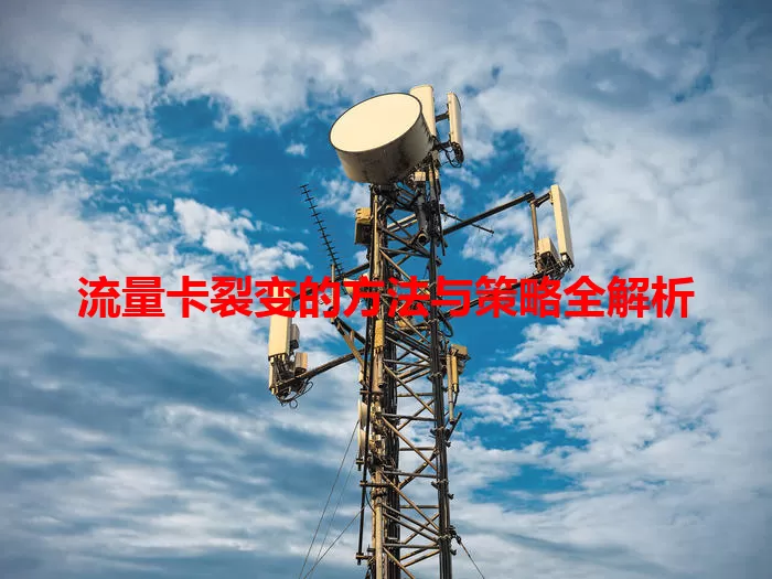 流量卡裂变的方法与策略全解析