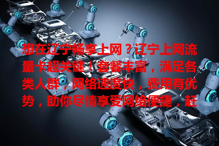 想在辽宁畅享上网？辽宁上网流量卡超关键！套餐丰富，满足各类人群，网络速度快，费用有优势，助你尽情享受网络便捷，赶紧挑适合的开启畅快之旅！