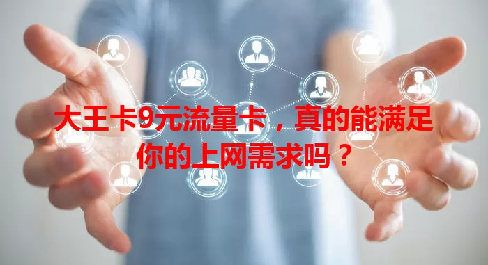 大王卡9元流量卡，真的能满足你的上网需求吗？