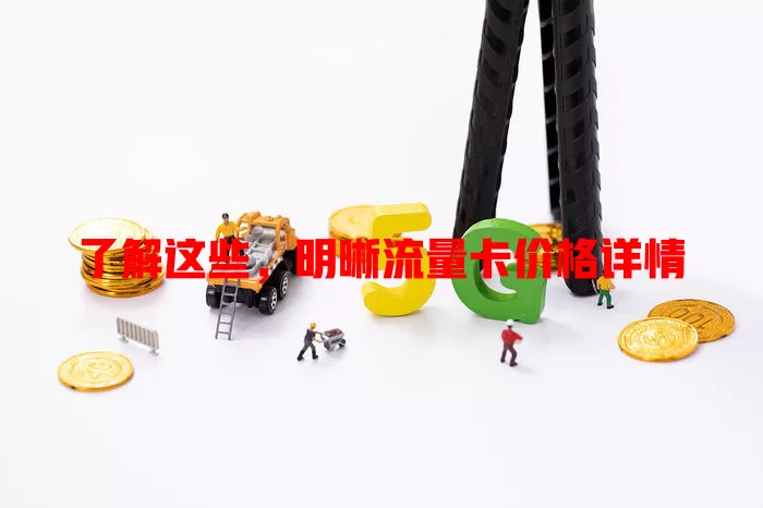 了解这些，明晰流量卡价格详情