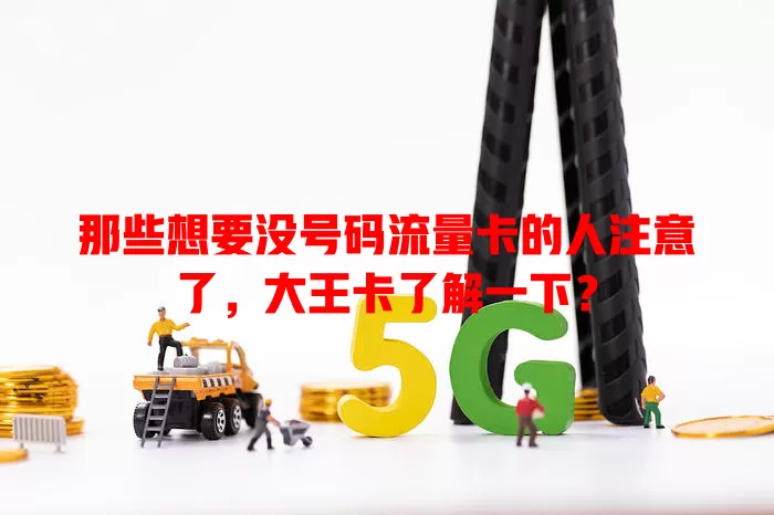那些想要没号码流量卡的人注意了，大王卡了解一下？