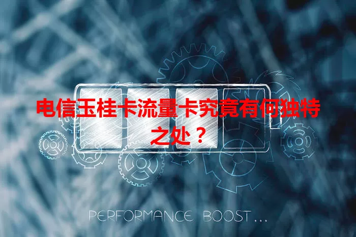 电信玉桂卡流量卡究竟有何独特之处？