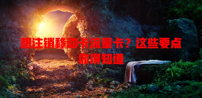 想注销移动卡流量卡？这些要点你得知道