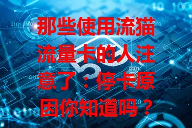 那些使用流猫流量卡的人注意了：停卡原因你知道吗？