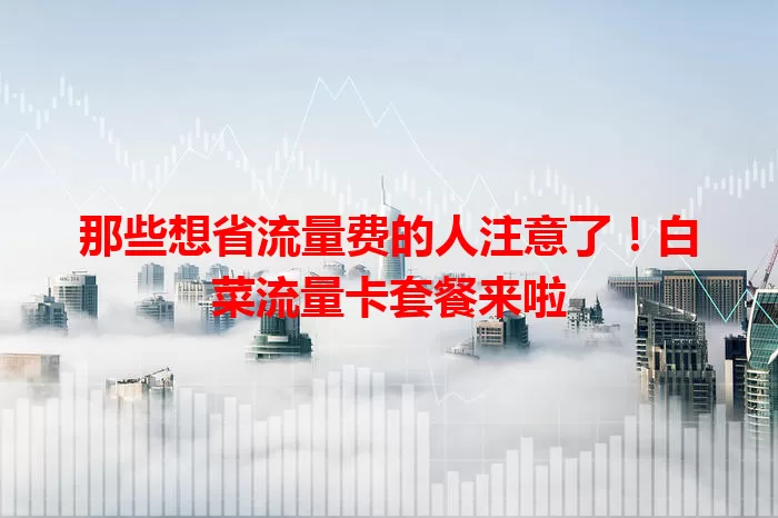 那些想省流量费的人注意了！白菜流量卡套餐来啦