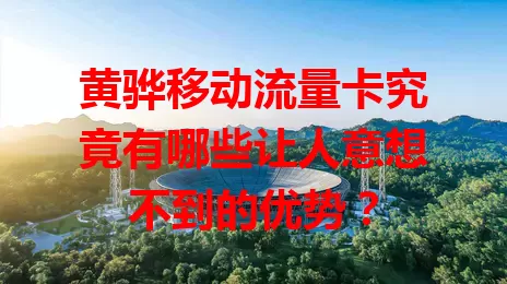 黄骅移动流量卡究竟有哪些让人意想不到的优势？