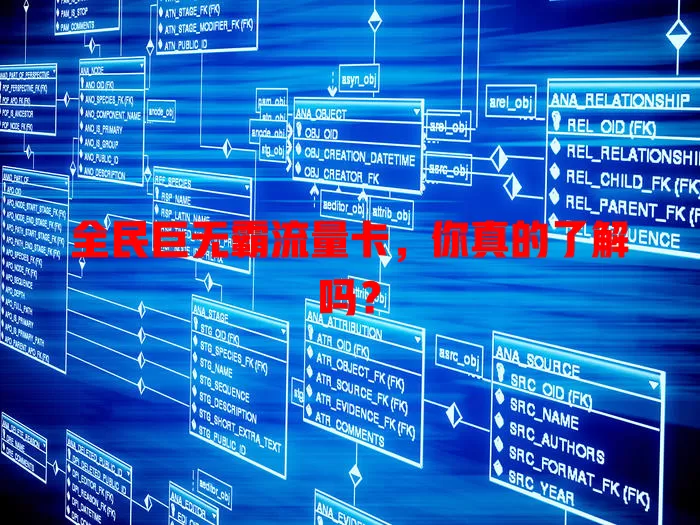 全民巨无霸流量卡，你真的了解吗？