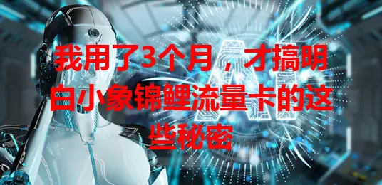 我用了3个月，才搞明白小象锦鲤流量卡的这些秘密