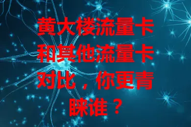 黄大楼流量卡和其他流量卡对比，你更青睐谁？
