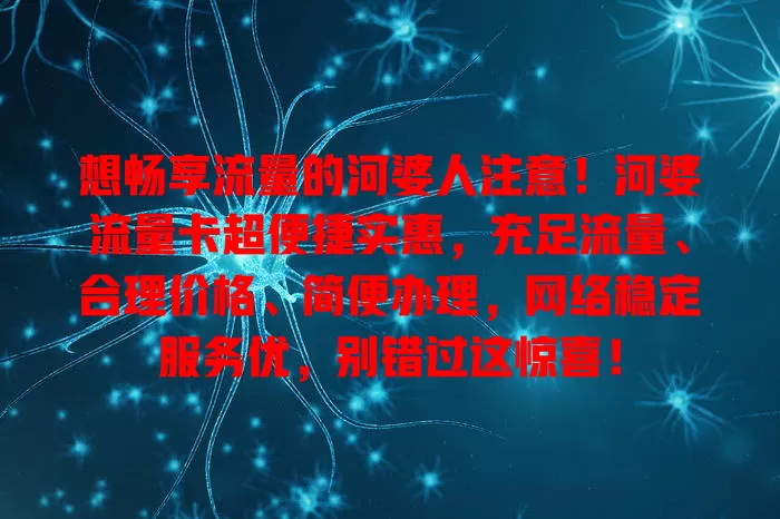 想畅享流量的河婆人注意！河婆流量卡超便捷实惠，充足流量、合理价格、简便办理，网络稳定服务优，别错过这惊喜！