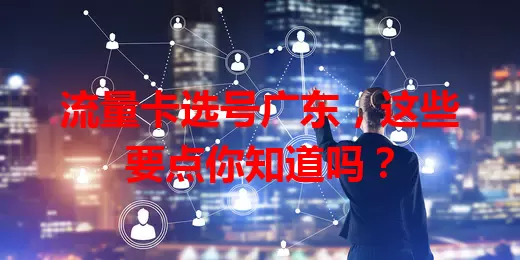 流量卡选号广东，这些要点你知道吗？