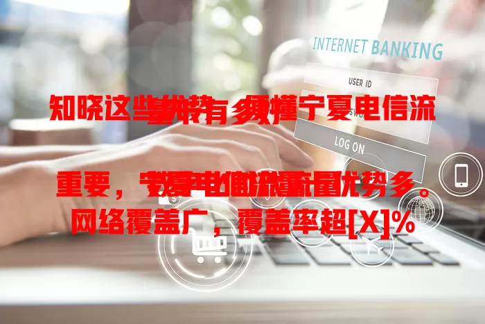 知晓这些优势，便懂宁夏电信流量卡有多好

数字化时代流量重要，宁夏电信流量卡优势多。网络覆盖广，覆盖率超[X]%，套餐丰富，使用便捷，高峰稳定少卡顿，是数字生活有力保障的好卡 。