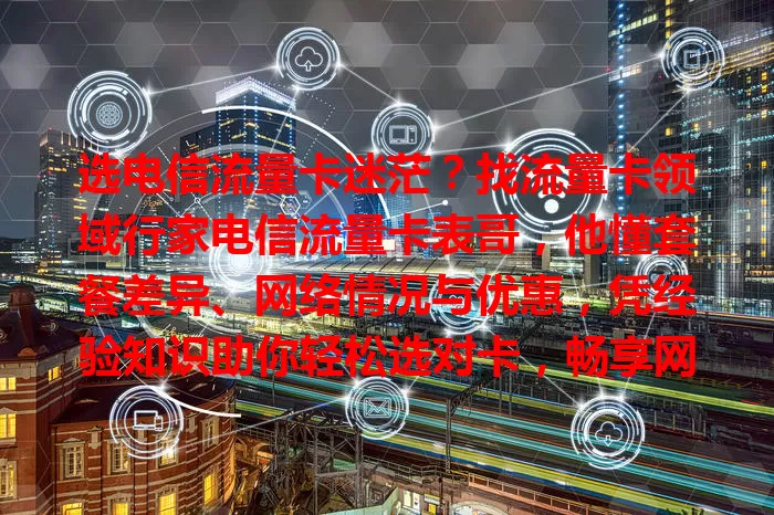 选电信流量卡迷茫？找流量卡领域行家电信流量卡表哥，他懂套餐差异、网络情况与优惠，凭经验知识助你轻松选对卡，畅享网络生活