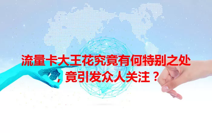 流量卡大王花究竟有何特别之处，竟引发众人关注？