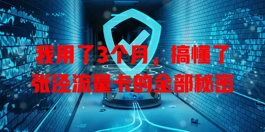 我用了3个月，搞懂了张泾流量卡的全部秘密