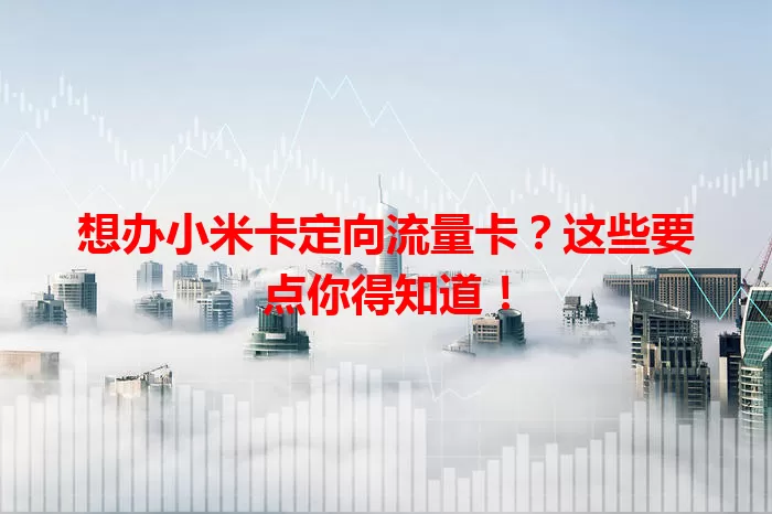 想办小米卡定向流量卡？这些要点你得知道！