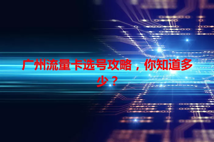 广州流量卡选号攻略，你知道多少？
