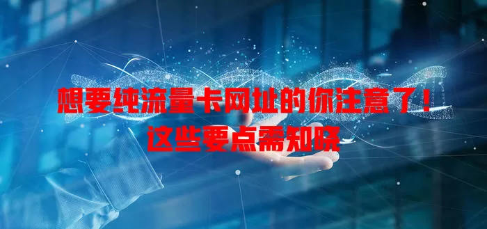 想要纯流量卡网址的你注意了！这些要点需知晓