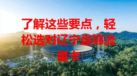 了解这些要点，轻松选对辽宁盘锦流量卡