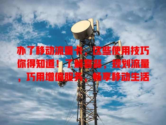 办了移动流量卡，这些使用技巧你得知道！了解套餐，规划流量，巧用增值服务，畅享移动生活