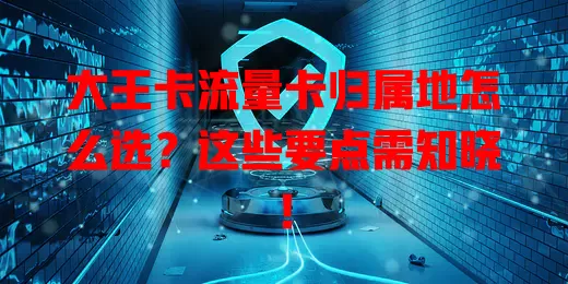 大王卡流量卡归属地怎么选？这些要点需知晓！