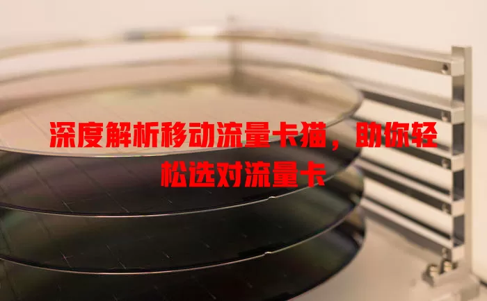 深度解析移动流量卡猫，助你轻松选对流量卡