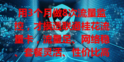 用3个月做8次流量监控，才摸透联通桂花流量卡，流量足、网络稳、套餐灵活、性价比高，是优质之选