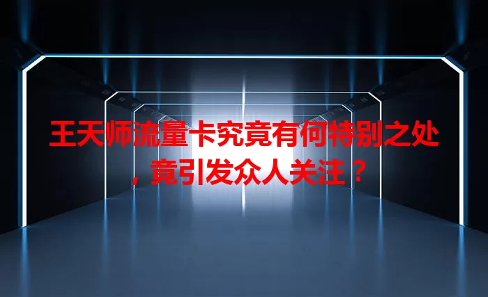 王天师流量卡究竟有何特别之处，竟引发众人关注？