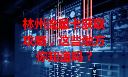 林州流量卡获取攻略，这些地方你知道吗？