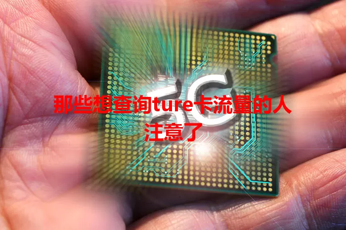 那些想查询ture卡流量的人注意了