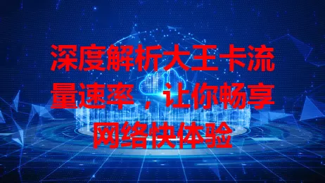 深度解析大王卡流量速率，让你畅享网络快体验