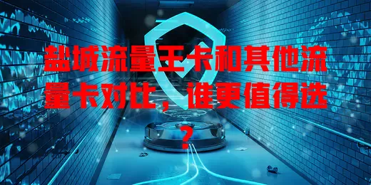 盐城流量王卡和其他流量卡对比，谁更值得选？