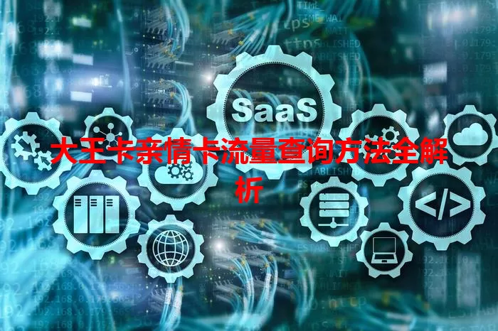 大王卡亲情卡流量查询方法全解析