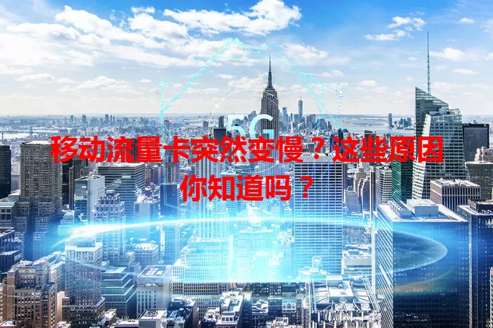 移动流量卡突然变慢？这些原因你知道吗？